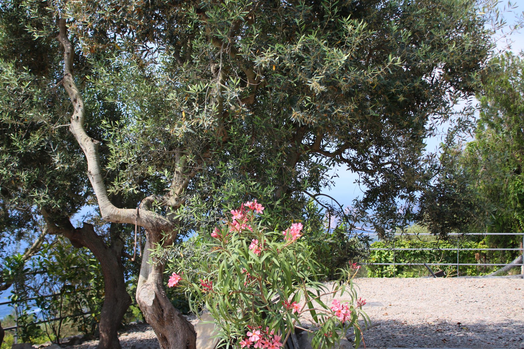 Storie dalla Costiera Sorrentina — Villa Dequinz