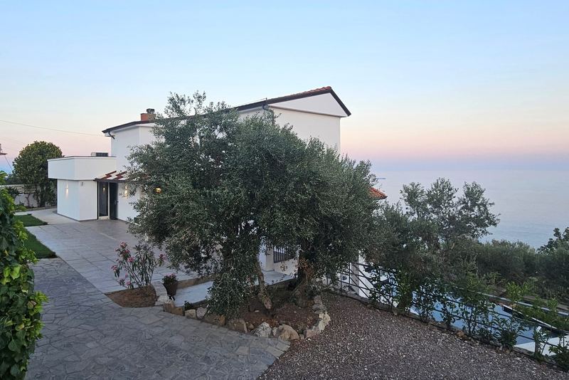 Esterni della villa tra ulivi e giardino mediterraneo